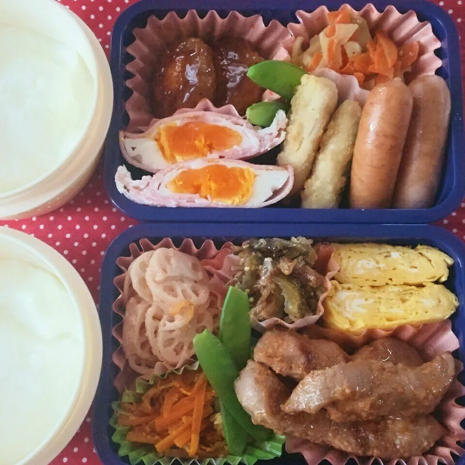 旦那さんの2食のお弁当7/14|katsunさん