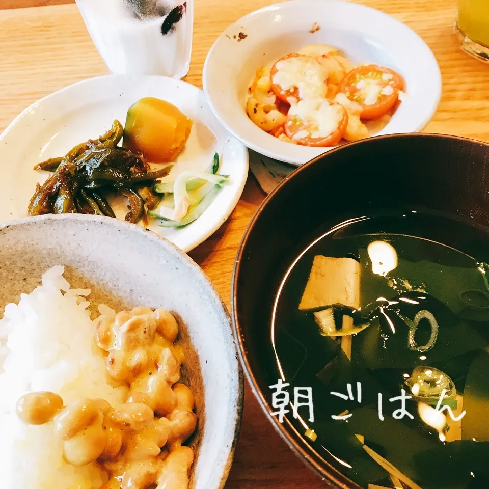 朝 2018.7.25|ささなおさん