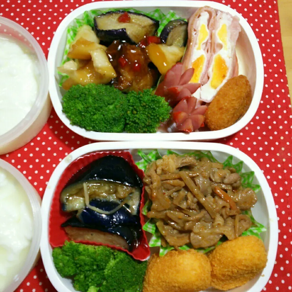 旦那さんの2食のお弁当‼6/11|katsunさん