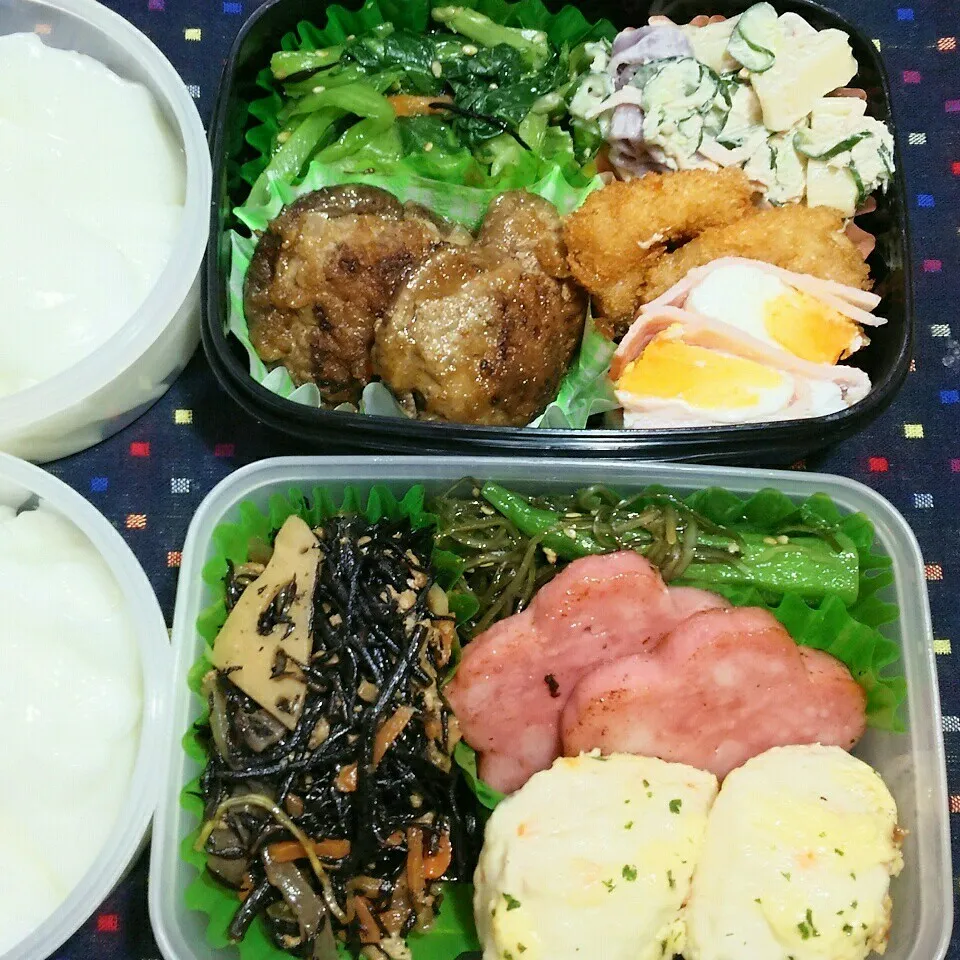 旦那さんの2食のお弁当4/3|katsunさん