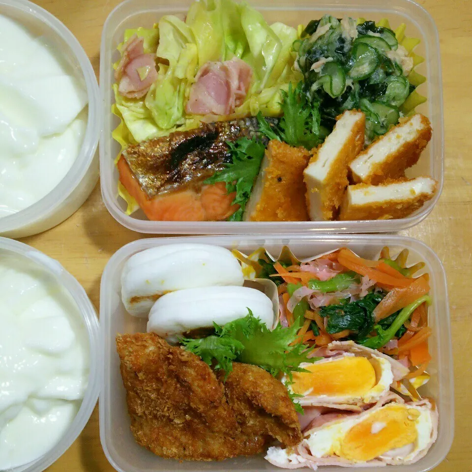 Snapdishの料理写真:旦那さんの2食のお弁当‼|katsunさん