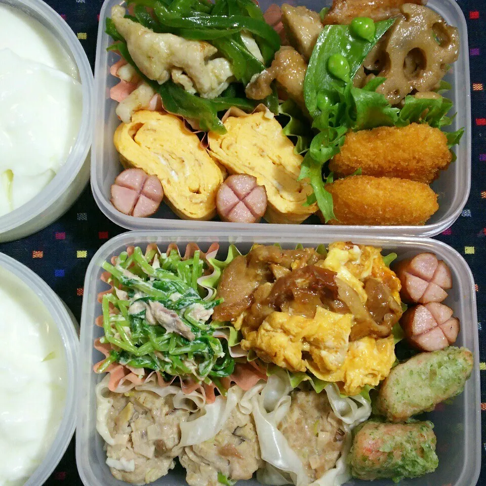 Snapdishの料理写真:旦那さんの2食のお弁当2/8|katsunさん