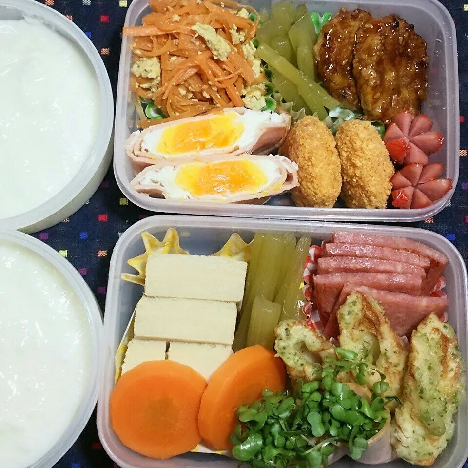 旦那さんの2食のお弁当‼|katsunさん