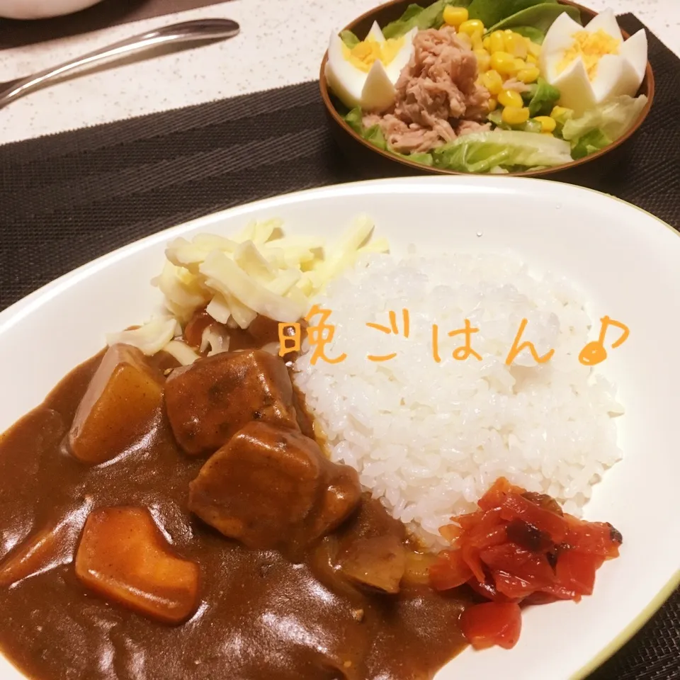 カレーライス(^^)|えんどうくんさん