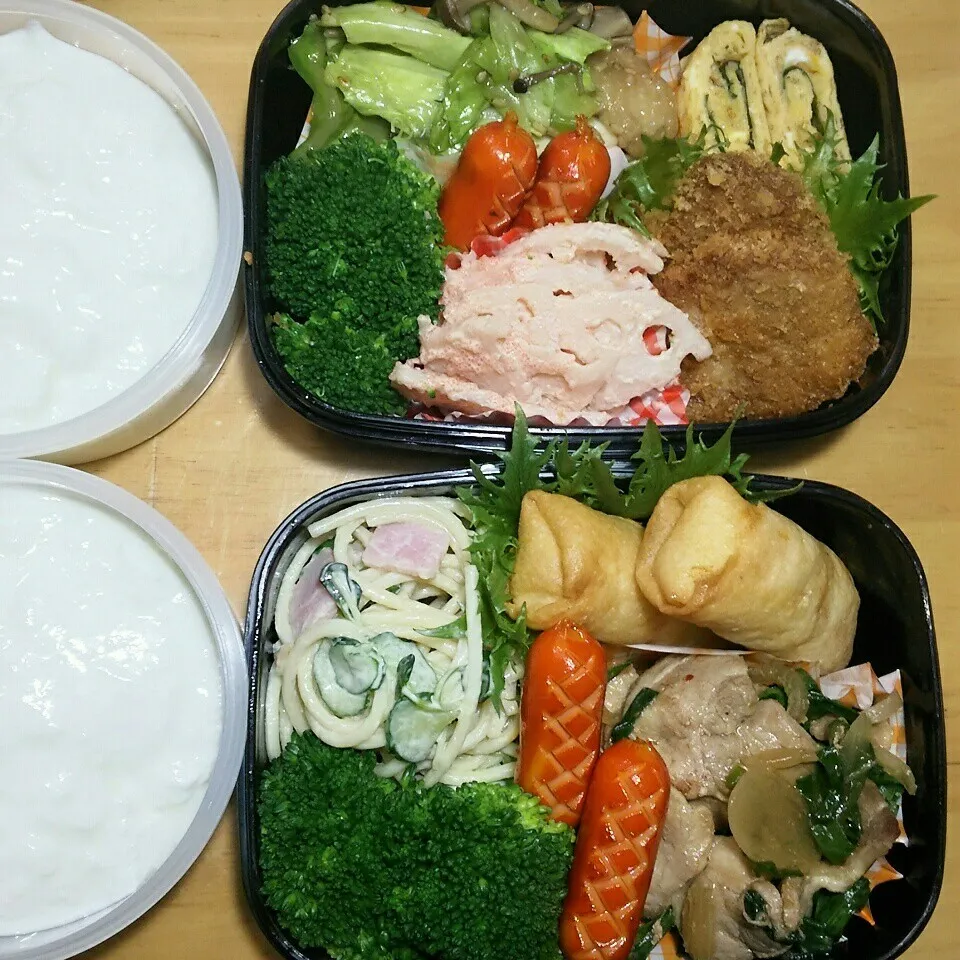 Snapdishの料理写真:旦那さんの2食のお弁当‼|katsunさん