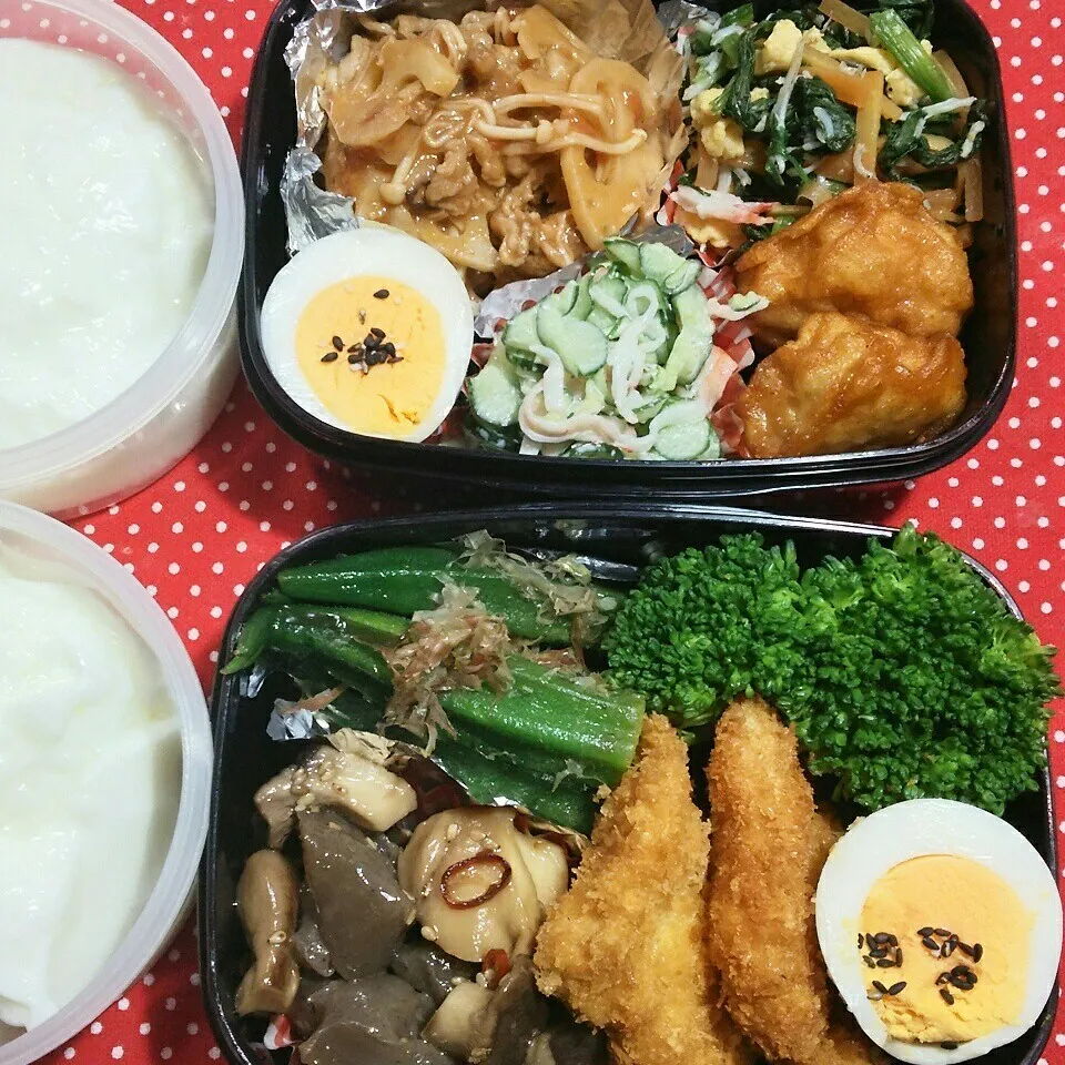 Snapdishの料理写真:旦那さんの2食のお弁当‼|katsunさん