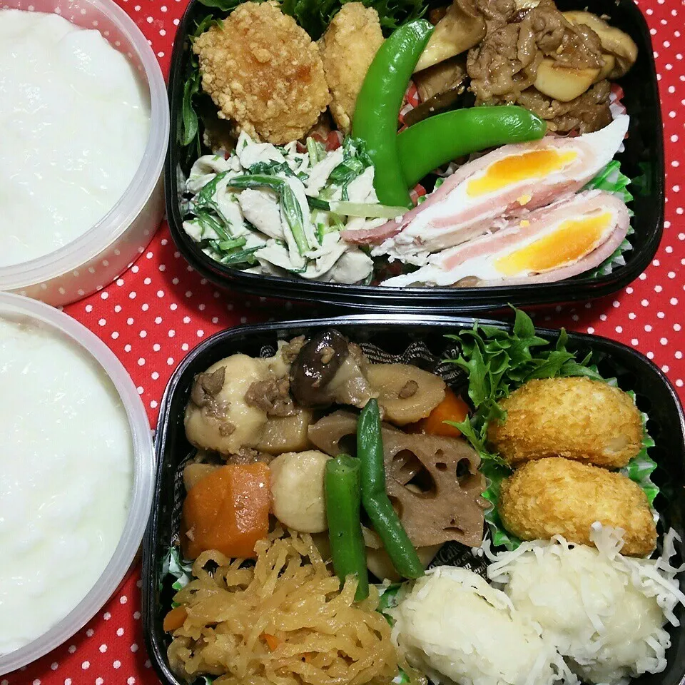 旦那さんの2食のお弁当‼|katsunさん