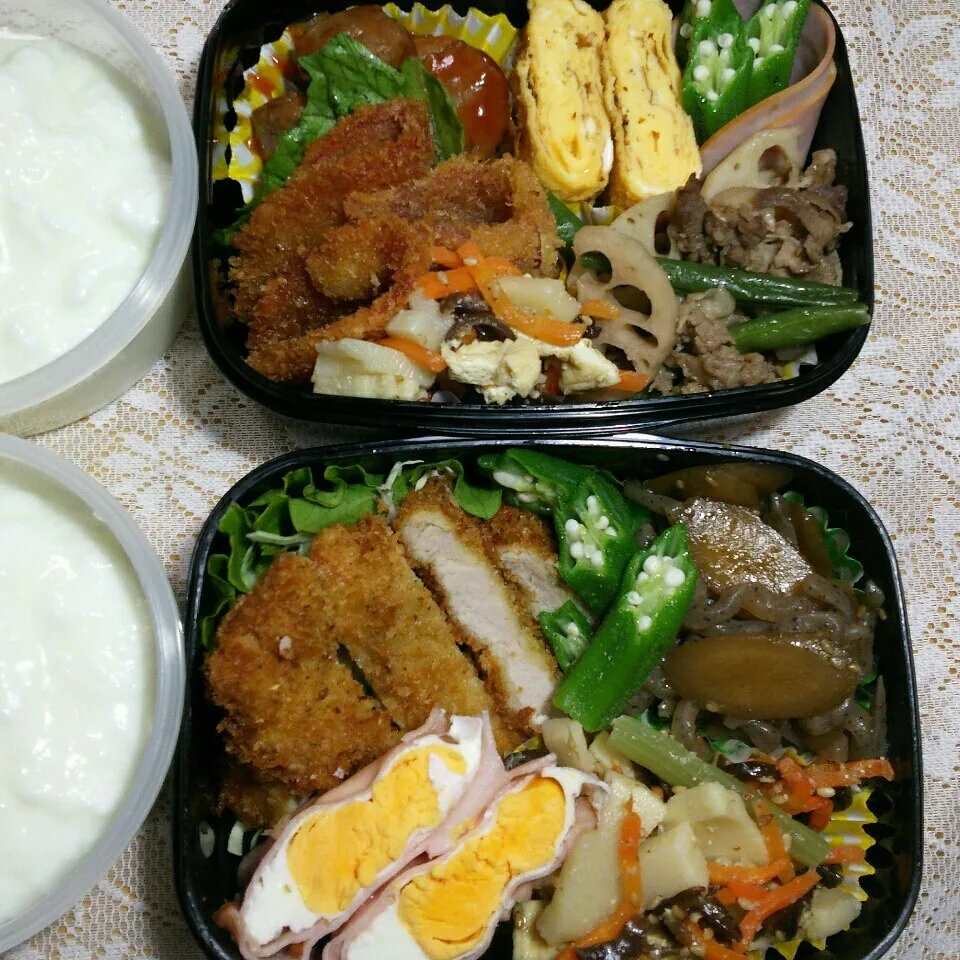 旦那さんの2食のお弁当|katsunさん