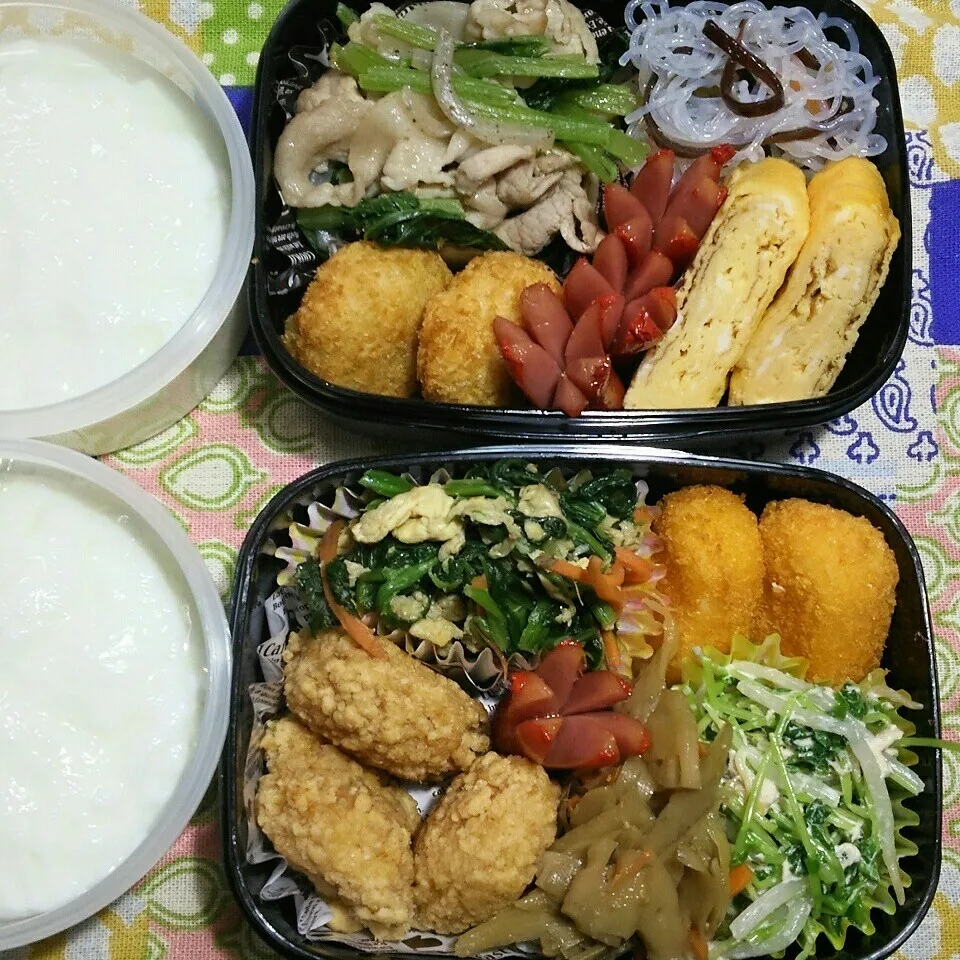 Snapdishの料理写真:旦那さんの2食のお弁当‼|katsunさん