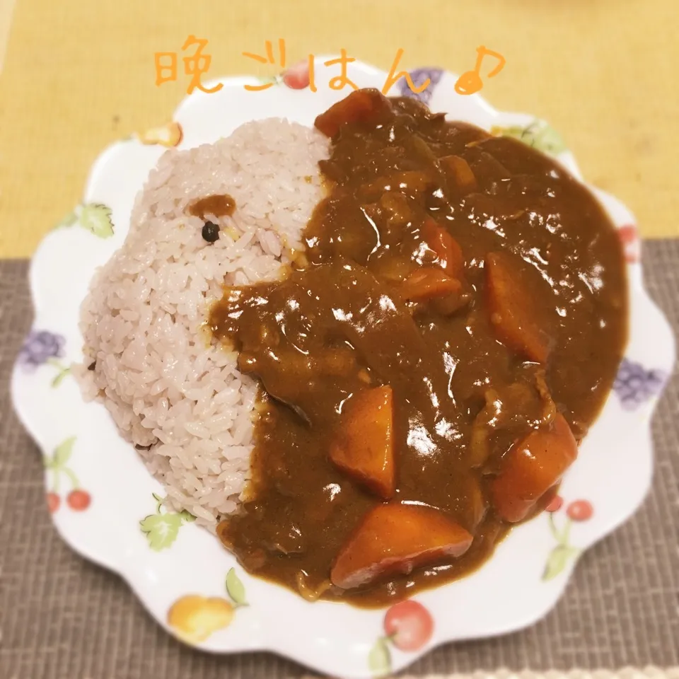 カレーらいす(*^_^*)|えんどうくんさん