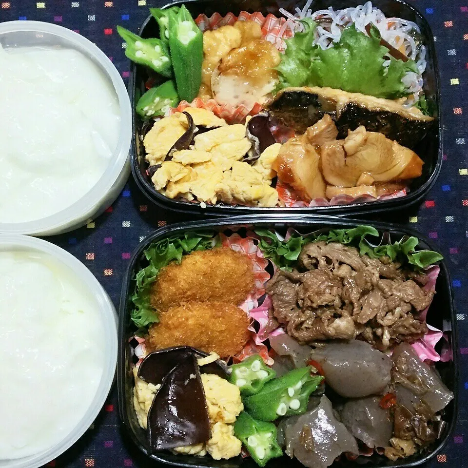 旦那さんの2食のお弁当‼|katsunさん