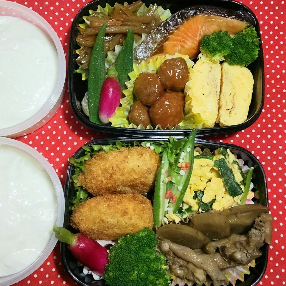 旦那さんの2食のお弁当‼|katsunさん