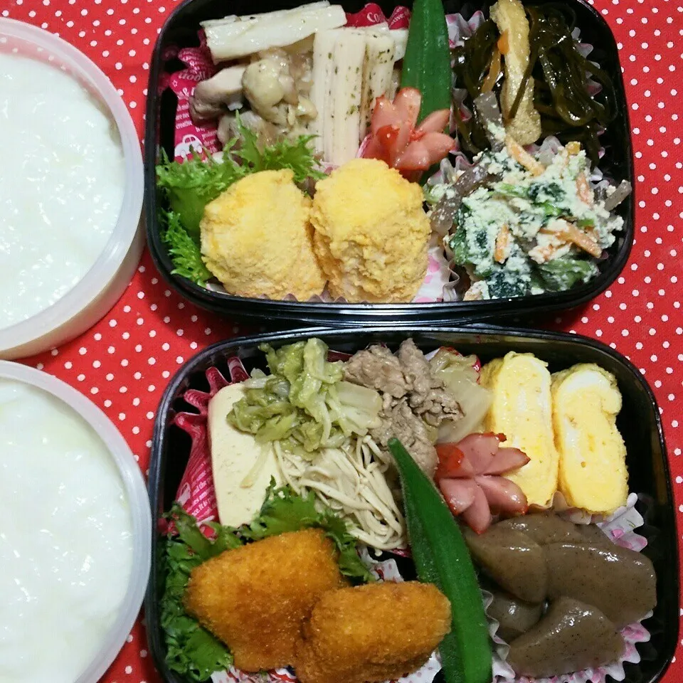 旦那さんの2食のお弁当‼|katsunさん