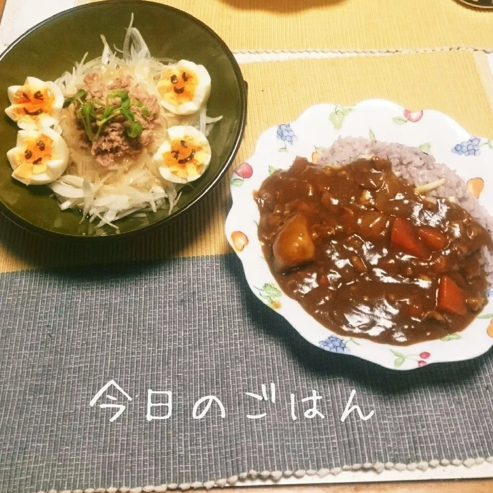 Snapdishの料理写真:カレーライス&新玉ねぎサラダ♪|えんどうくんさん