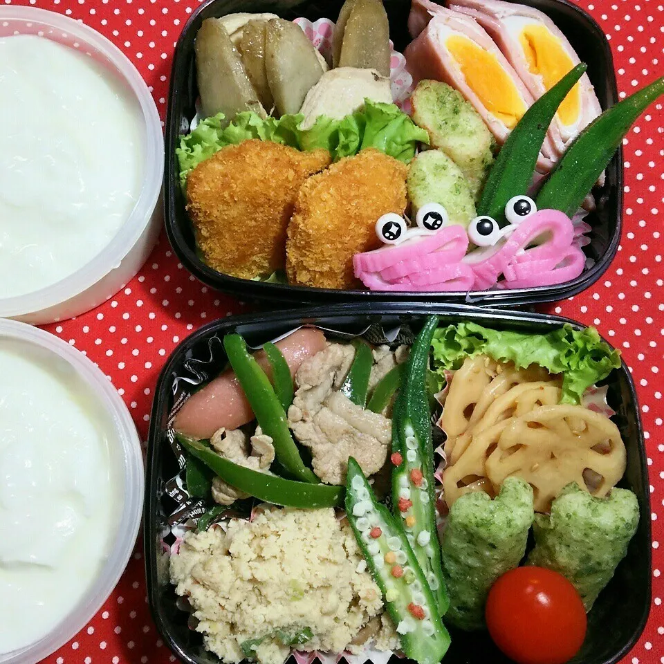 旦那さんの2食のお弁当‼|katsunさん