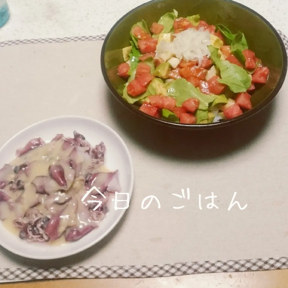 Snapdishの料理写真:トマトいっぱいサーモンDON|えんどうくんさん