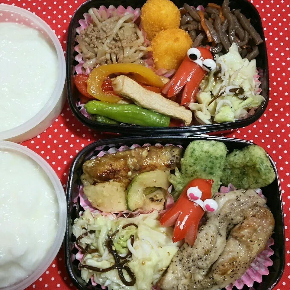 Snapdishの料理写真:旦那さんの2食のお弁当‼|katsunさん