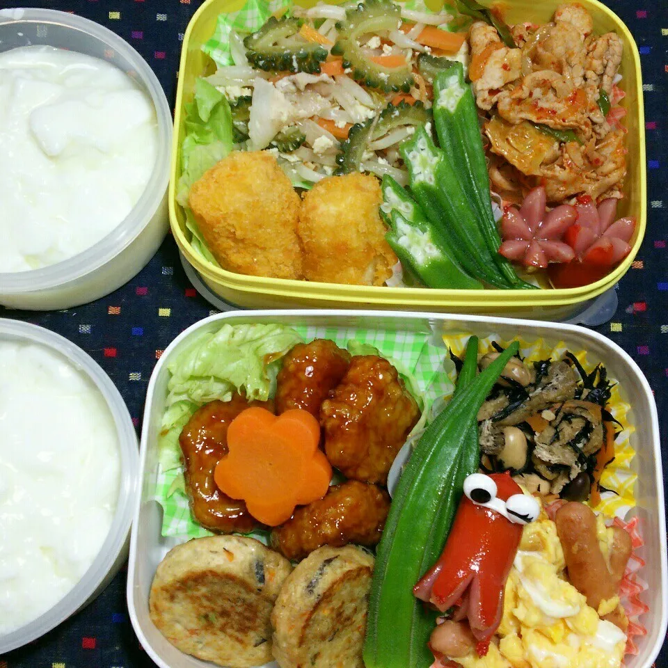 旦那さんの2食のお弁当‼|katsunさん