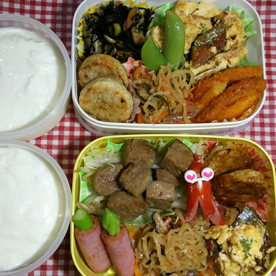 旦那さんの2食のお弁当‼|katsunさん