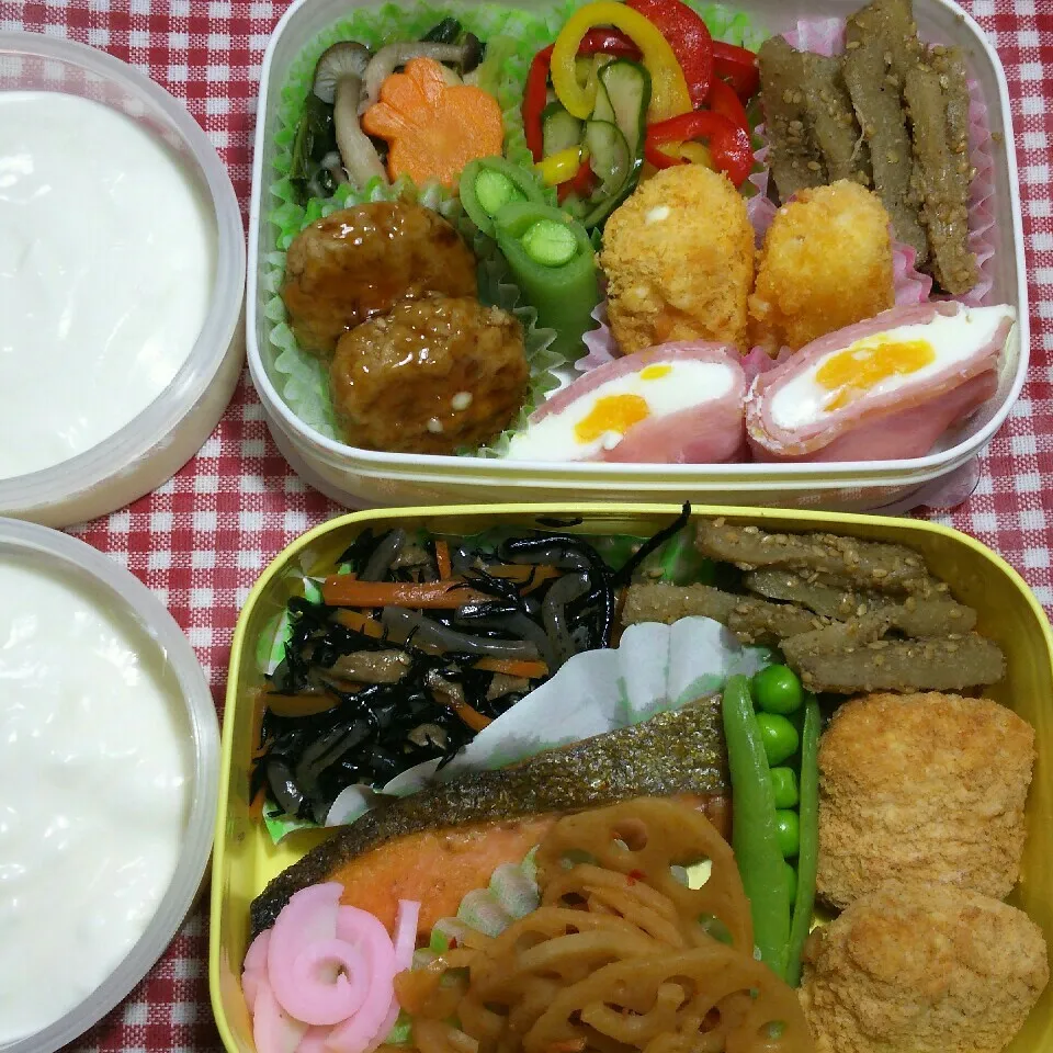 Snapdishの料理写真:旦那さんの2食のお弁当‼|katsunさん