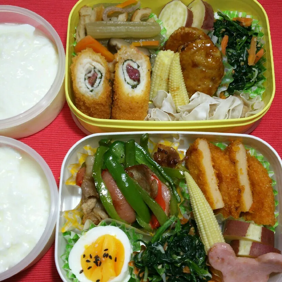 旦那さんの2食のお弁当！|katsunさん