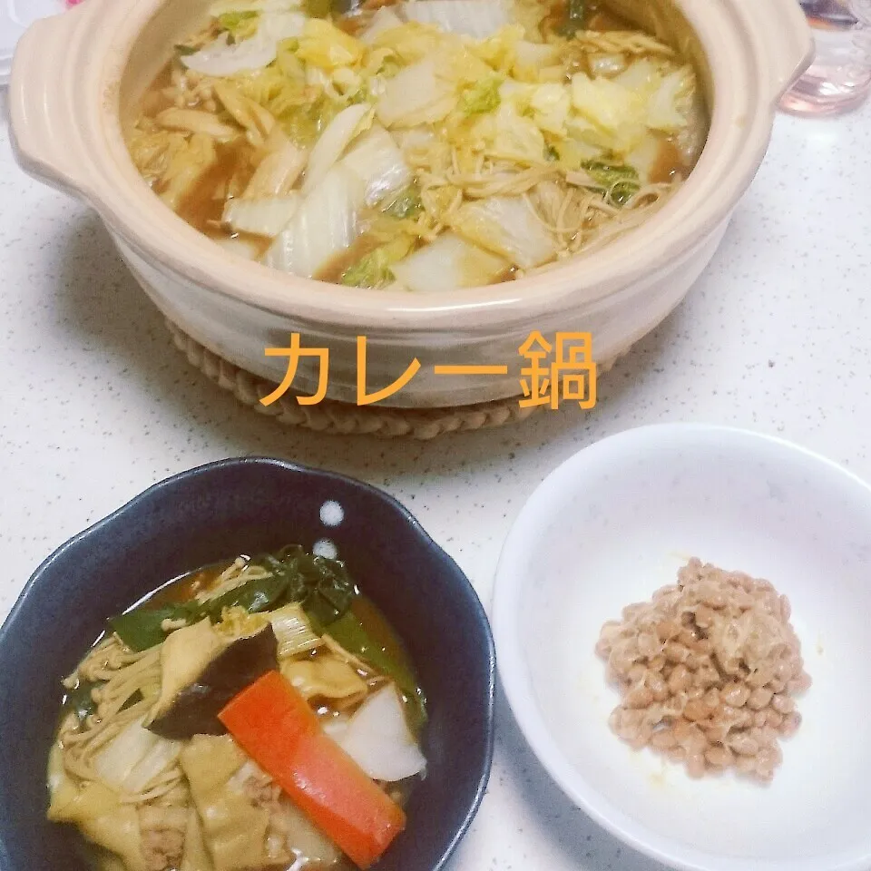 Snapdishの料理写真:あったかカレー鍋(^o^)v|えんどうくんさん