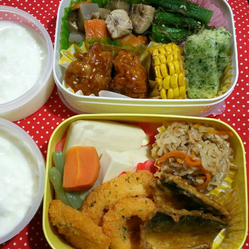 旦那さんの2食のお弁当‼|katsunさん