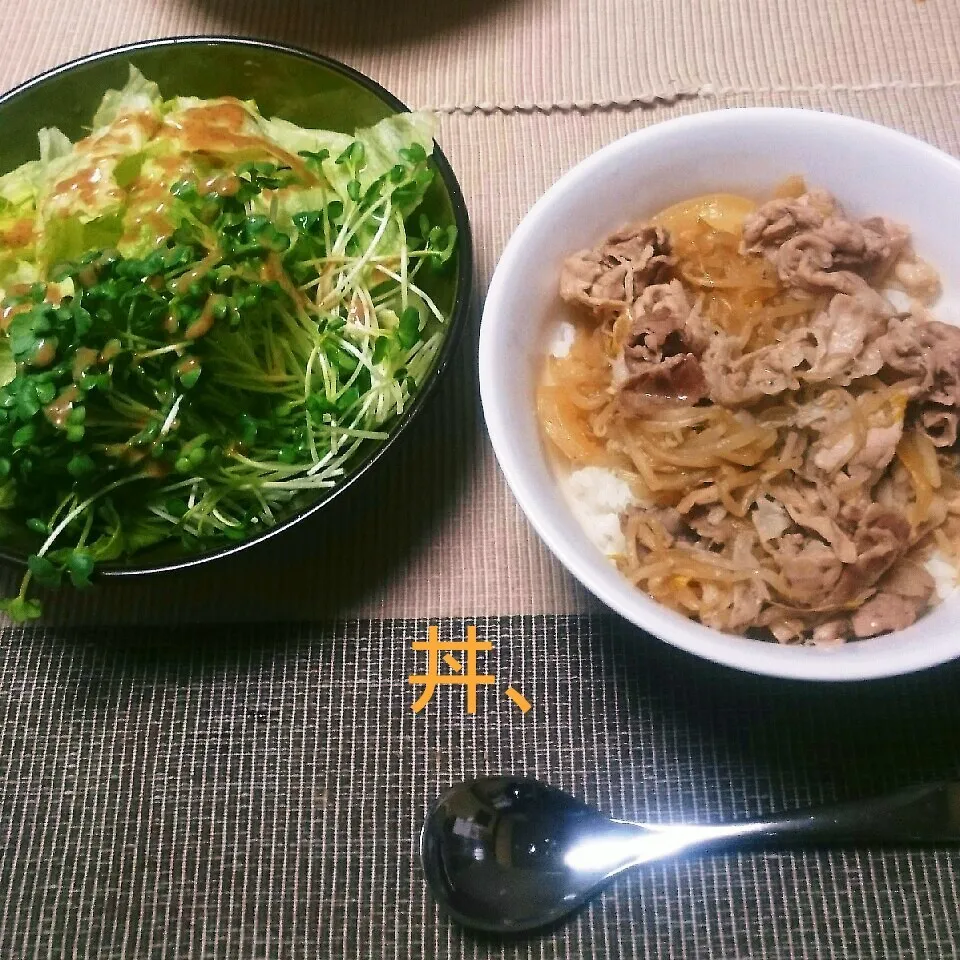 グリーンサラダ&豚丼|えんどうくんさん