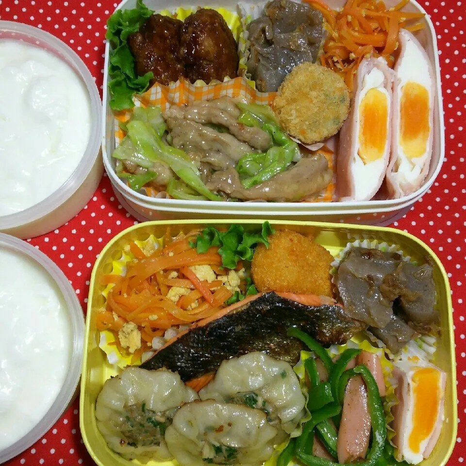 Snapdishの料理写真:旦那さんの2食のお弁当‼|katsunさん