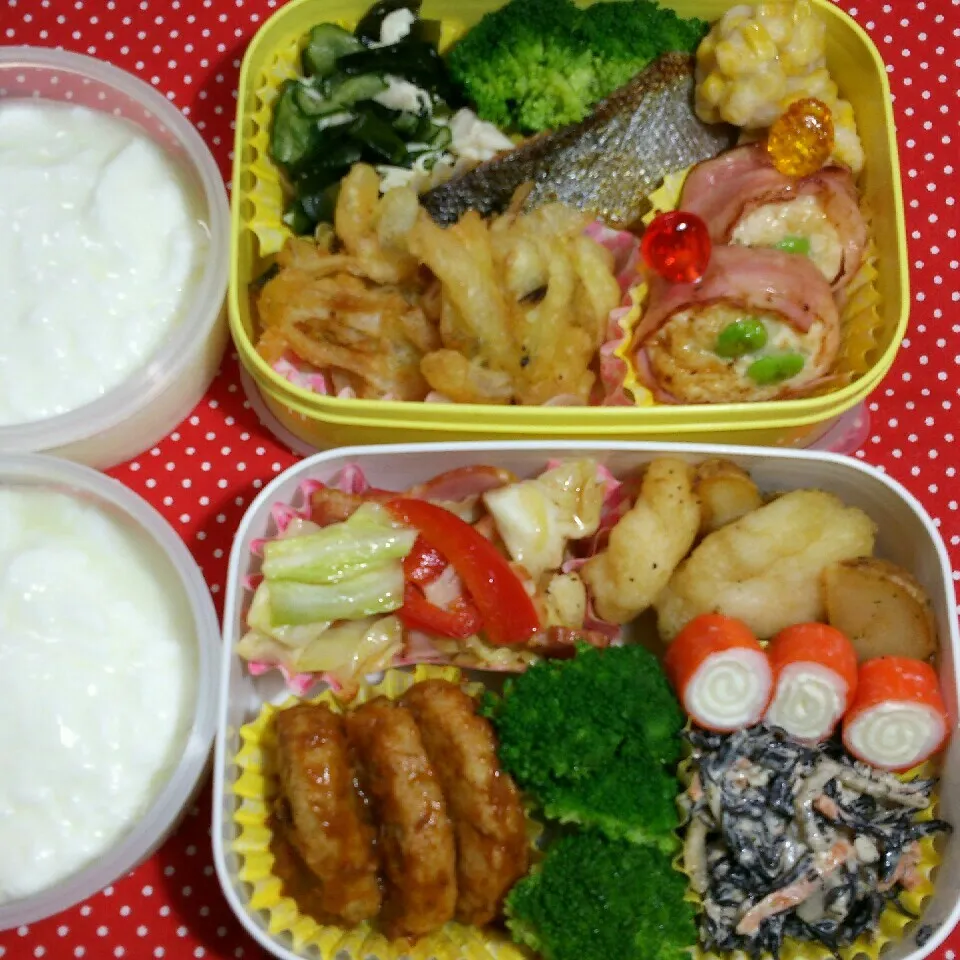 Snapdishの料理写真:旦那さんの2食のお弁当‼|katsunさん