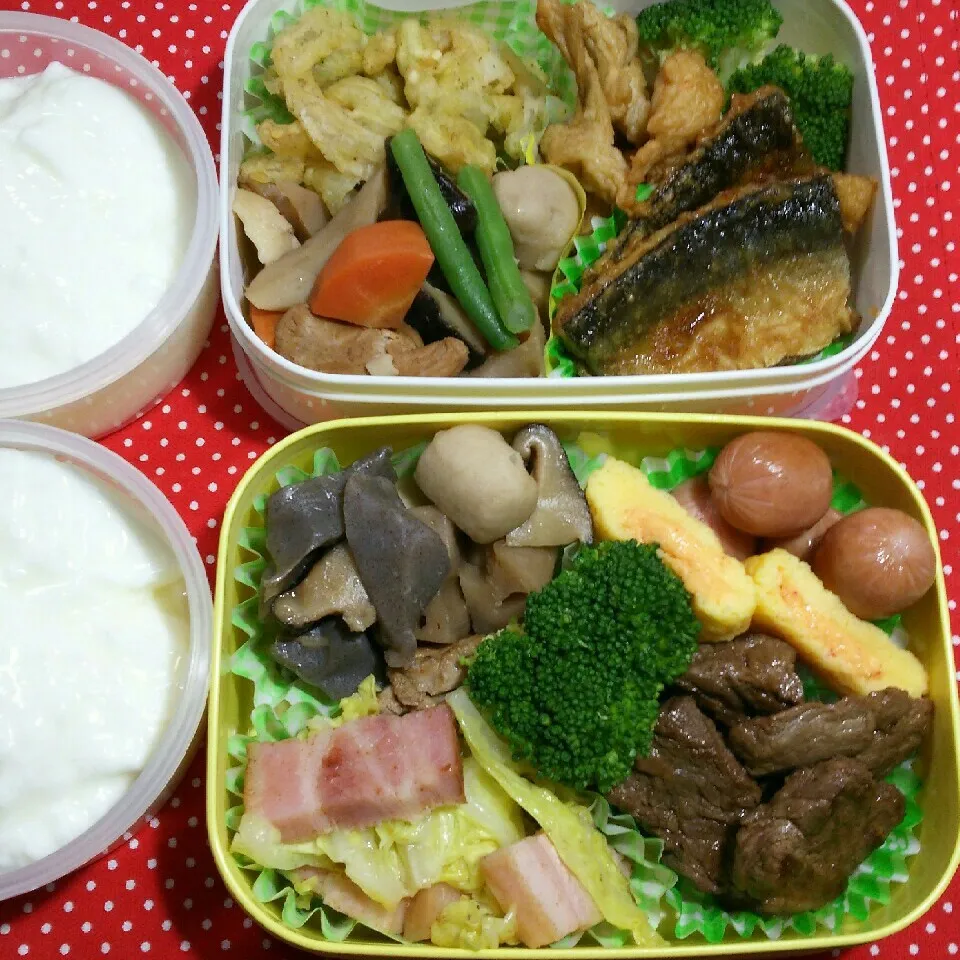 Snapdishの料理写真:旦那さんの2食のお弁当‼5/17|katsunさん