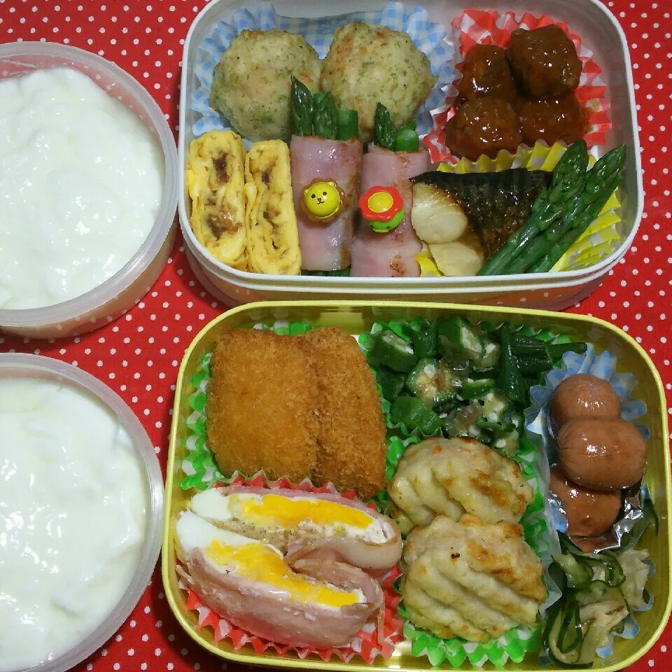 Snapdishの料理写真:旦那さんの2食のお弁当‼5/8|katsunさん