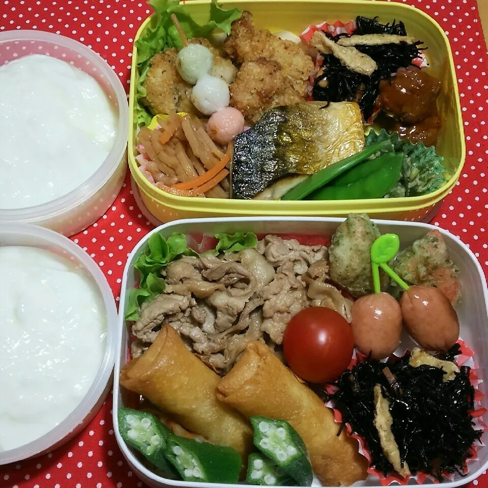 Snapdishの料理写真:旦那さんの2食のお弁当5/2|katsunさん