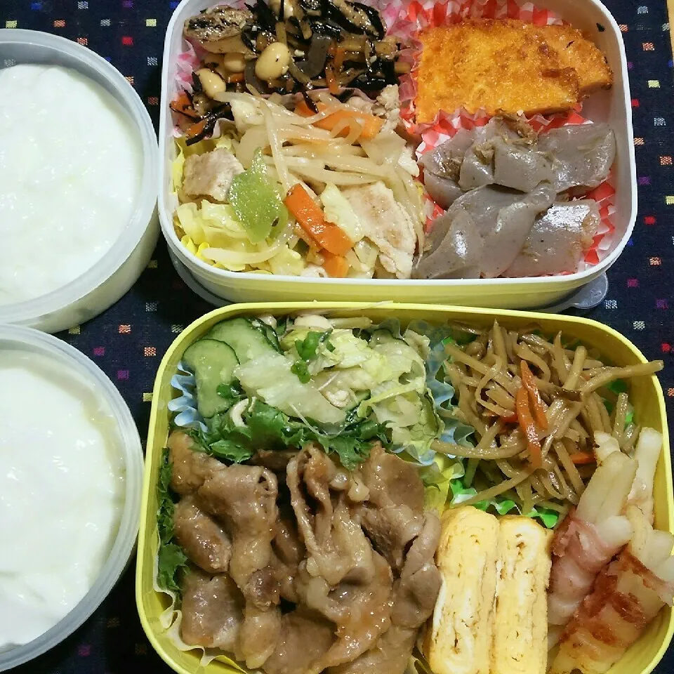 Snapdishの料理写真:旦那さんの2食のお弁当‼4/26|katsunさん