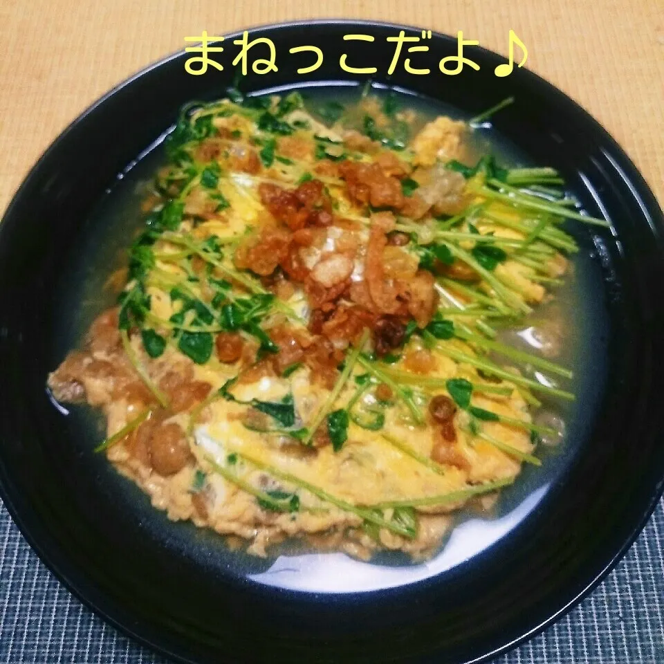つゆだく♪豆苗と天かすの卵とじ‼まねっこ。|えんどうくんさん