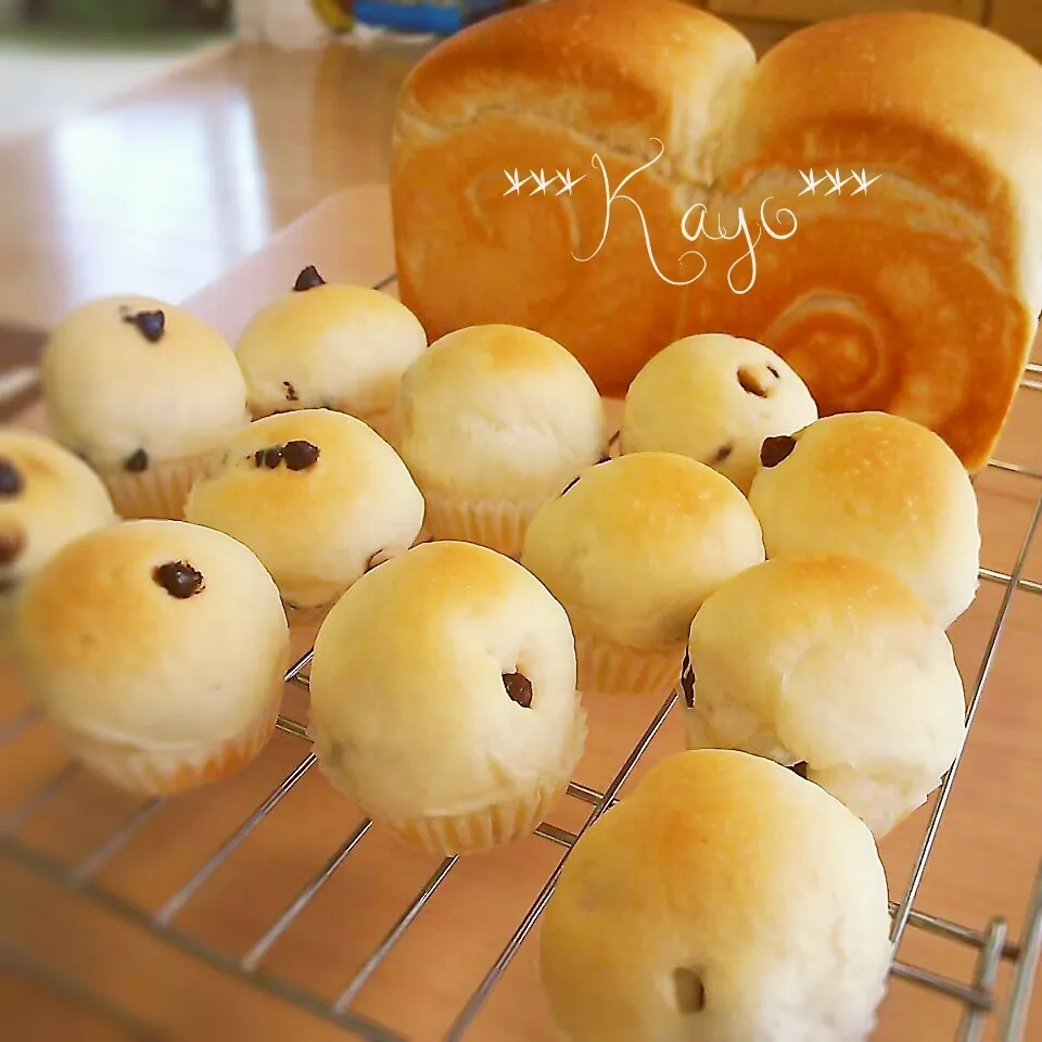 食パン&レーズンパン&チョコチップパン♪|華さん