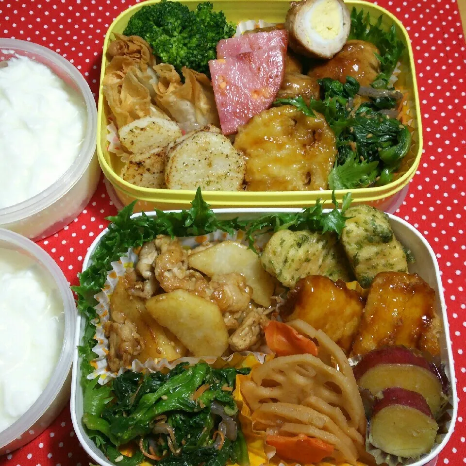 旦那さんの昼、夜2食のお弁当3/9|katsunさん