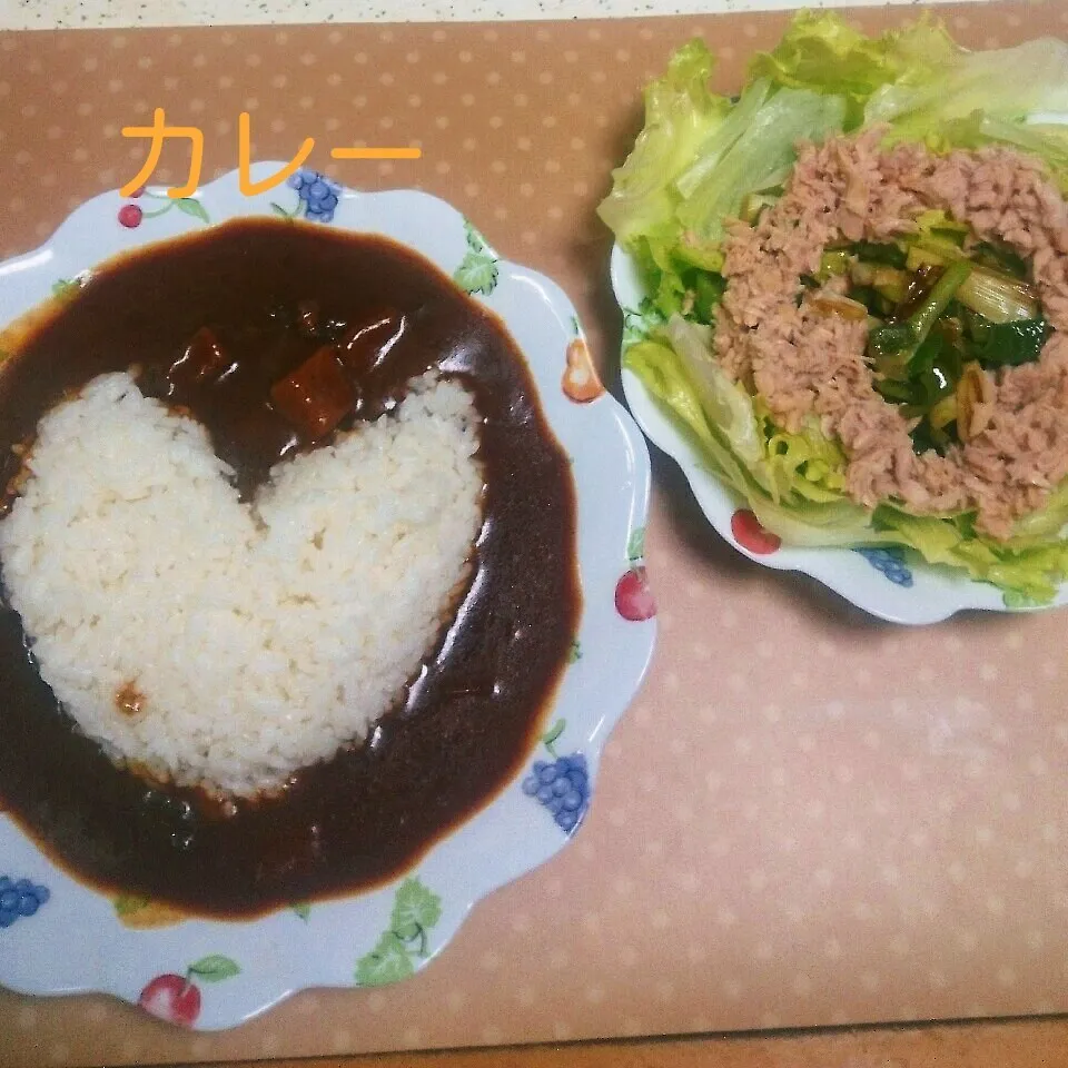 カレー&塩ネギサラダ|えんどうくんさん