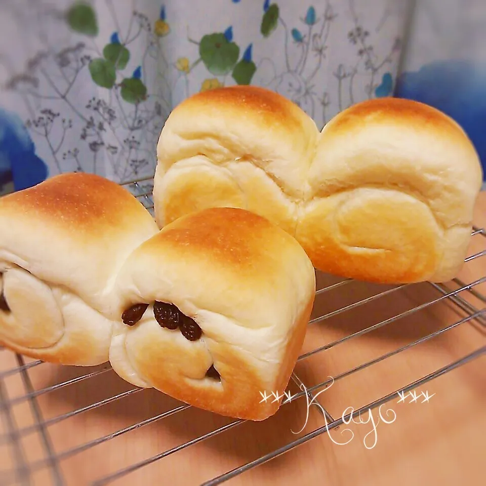 食パンとレーズン食パン♪|華さん