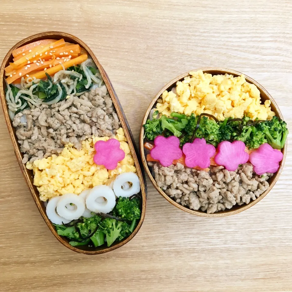 塩そぼろ弁当|Naoさん