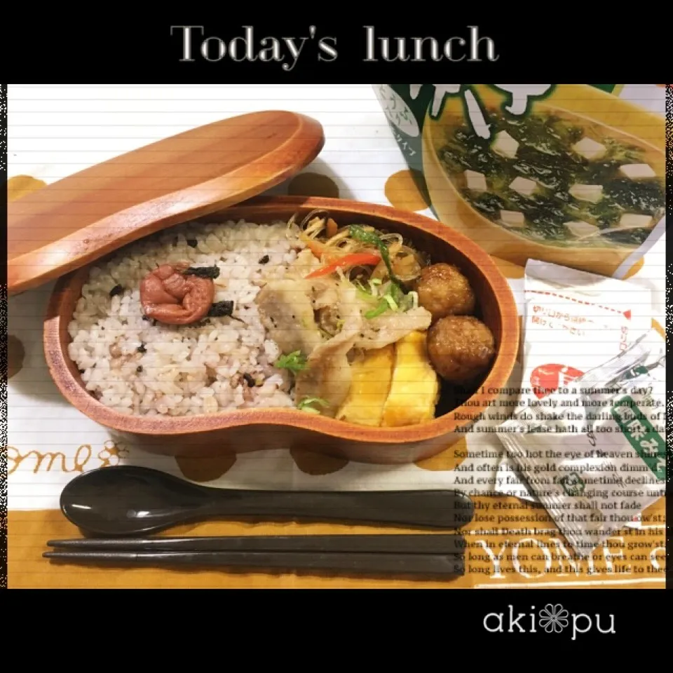 本日のお弁当。|aki_puさん