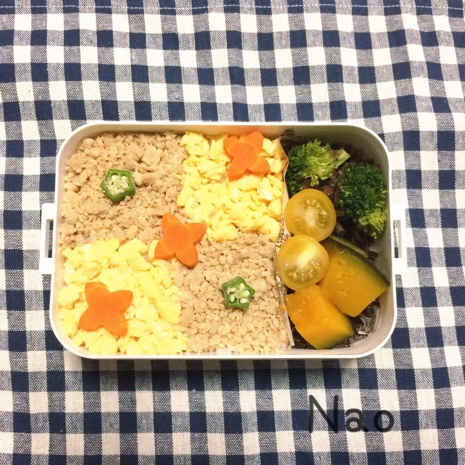 Snapdishの料理写真:高1メンズそぼろ弁当|Naoさん