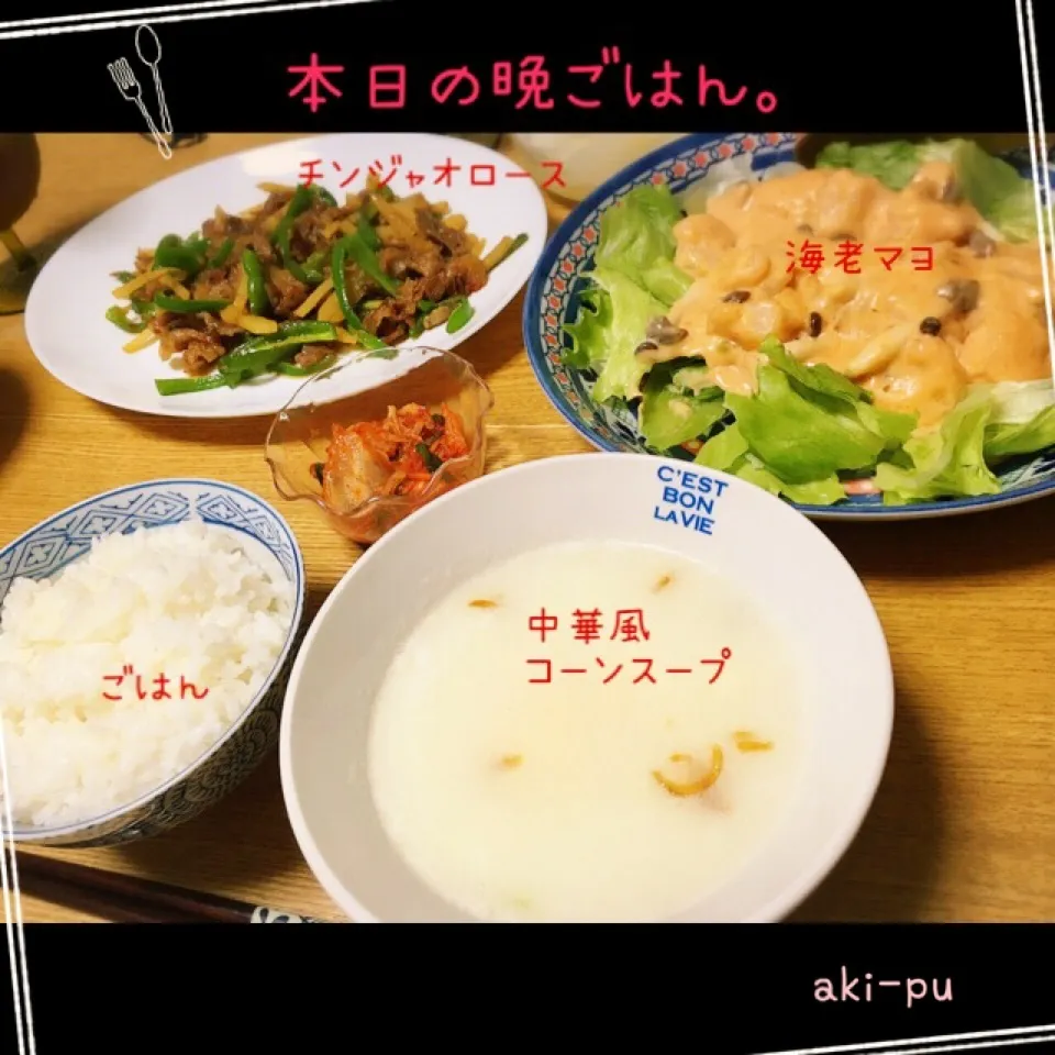 Snapdishの料理写真:本日の晩ごはん。|aki_puさん