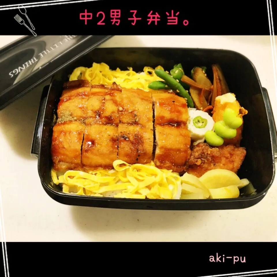 Snapdishの料理写真:中学生男子弁当。|aki_puさん