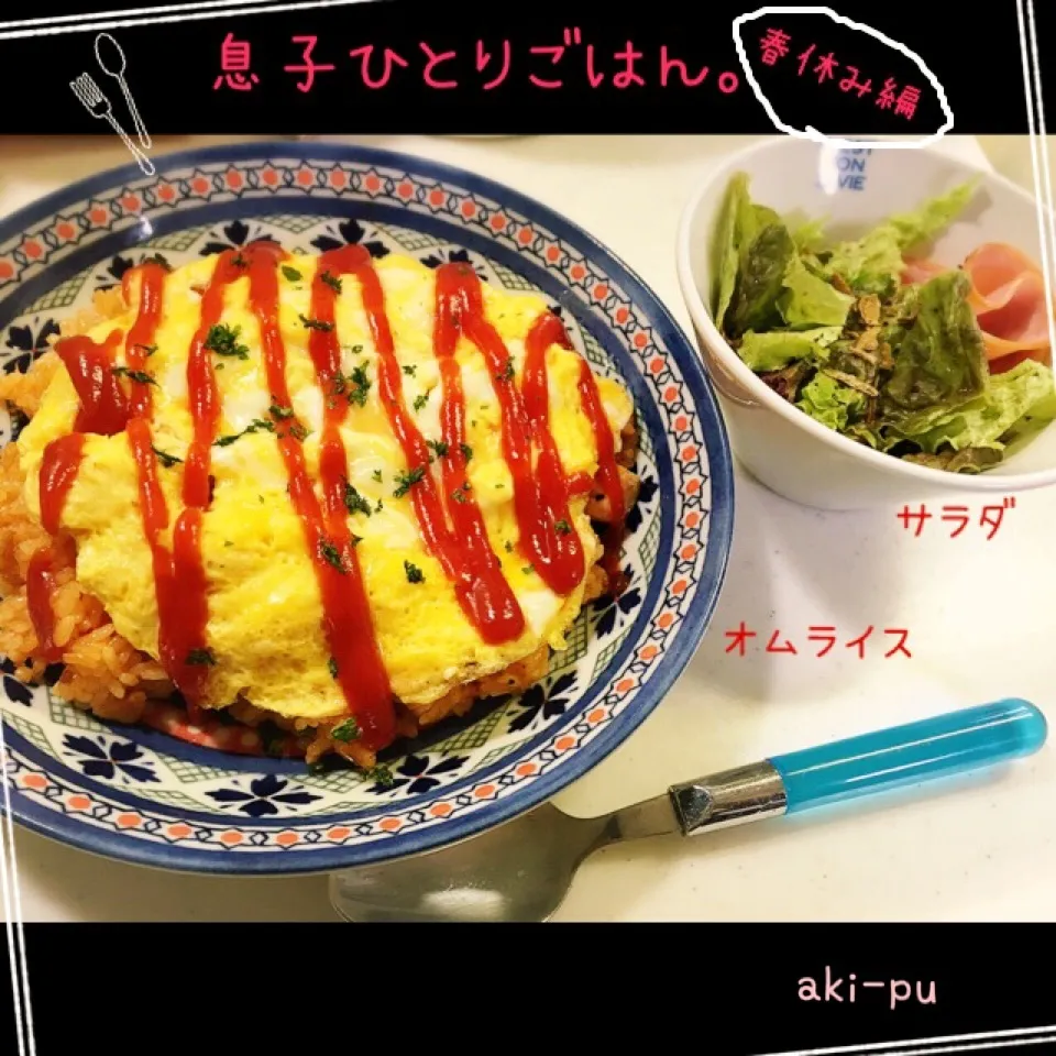 息子ひとりごはん。夏休み編。|aki_puさん