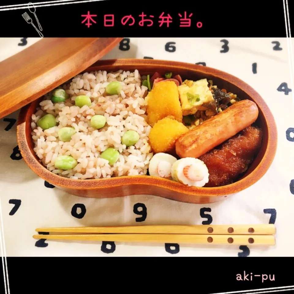 Snapdishの料理写真:本日のお弁当。|aki_puさん