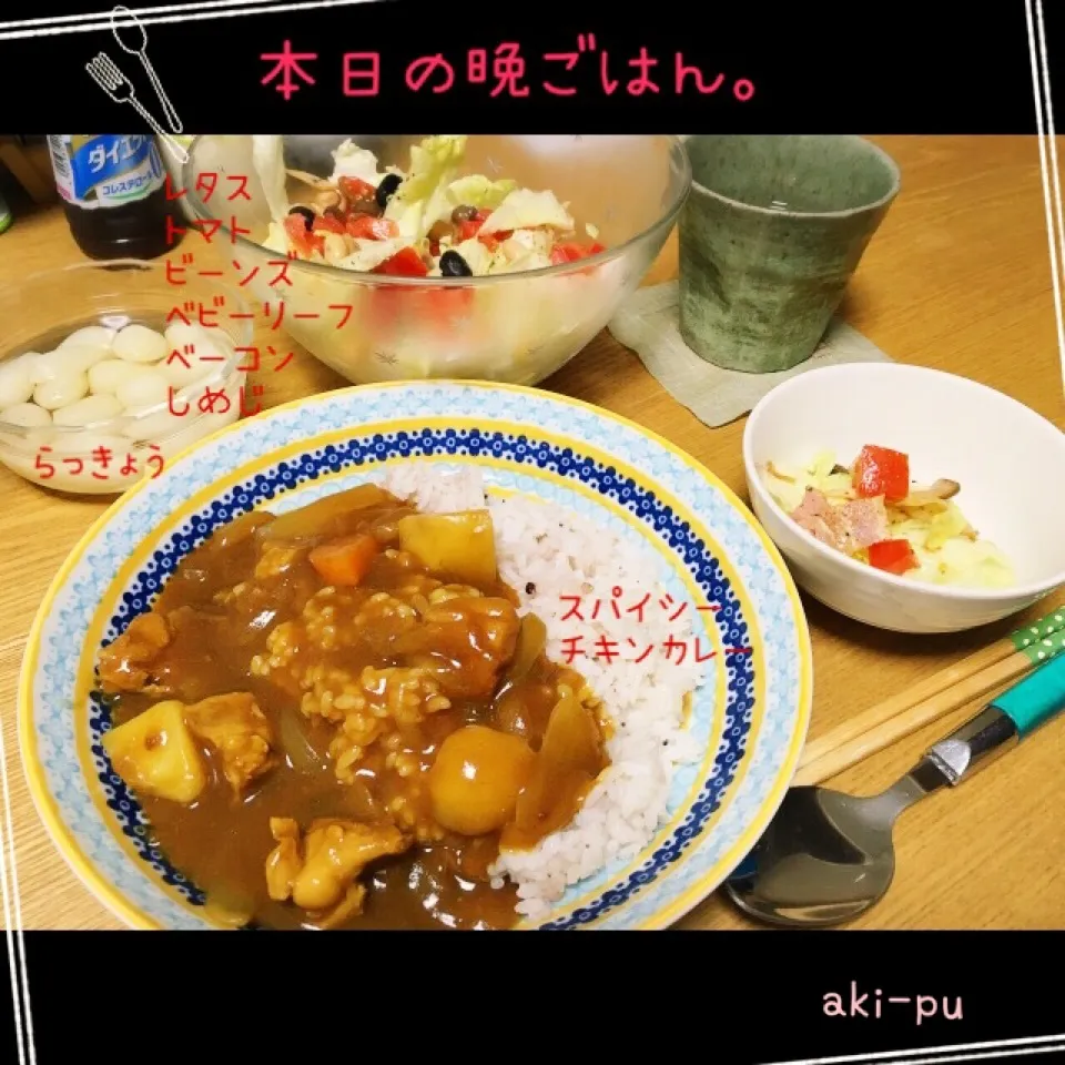 Snapdishの料理写真:本日の晩ごはん。|aki_puさん