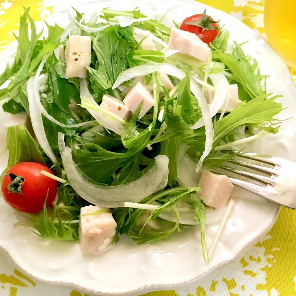 🥗水菜と新玉ねぎとサラダチキンのサラダ🥗|ROSE & ROSEさん