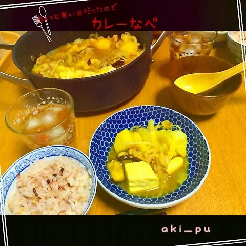 カレー鍋。|aki_puさん