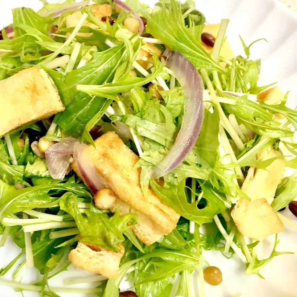 油揚げと水菜と雑穀のサラダ🥗爽やかなドレッシングをかけて|ROSE & ROSEさん